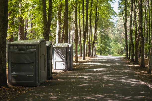 Best Standard Portable Toilet Rental  in Ishpeng, MI